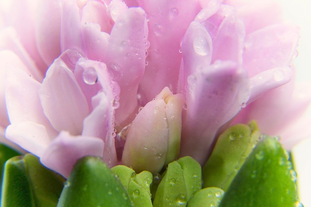 Business Decor – Decorazione d'interni per un rifugio anti-bomba a lungo termine discusso