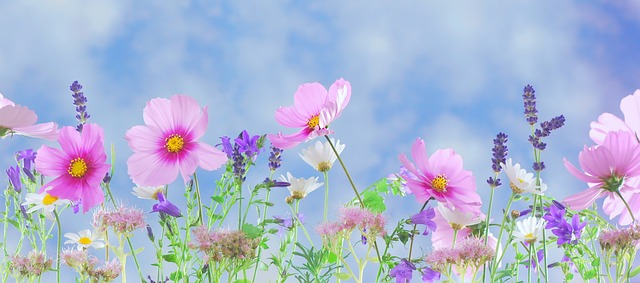 Coltivare le piante rese più facili con le tettoie da giardino