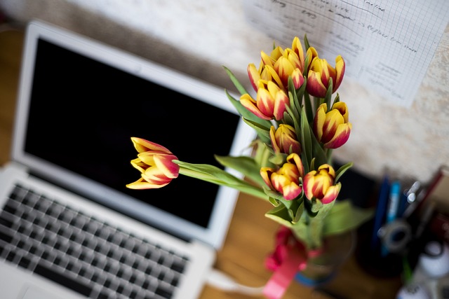 I fiori dell'ufficio di quattro ragioni sono più di semplici aggiunte al lavoro