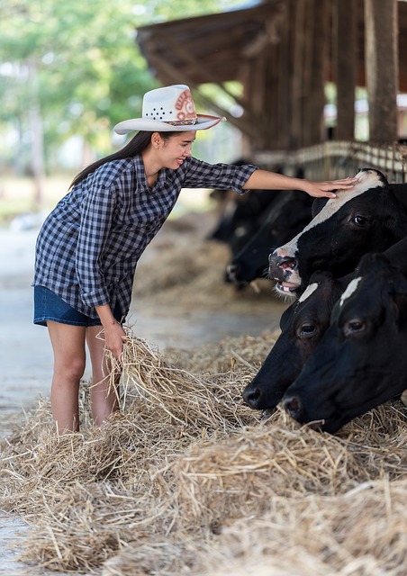 Storia personalizzata dei piani di casa del ranch