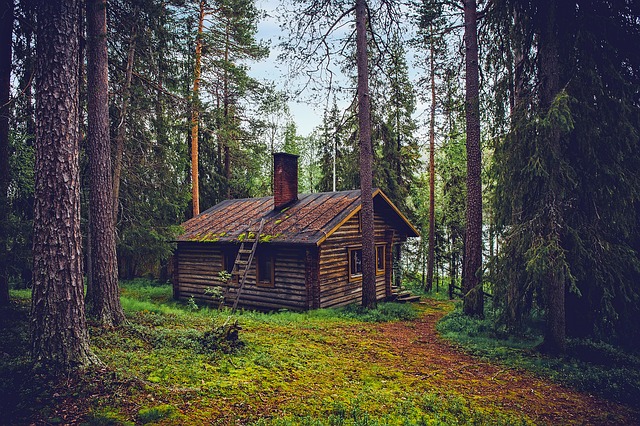 Piani di casa cabina di ceppo verd