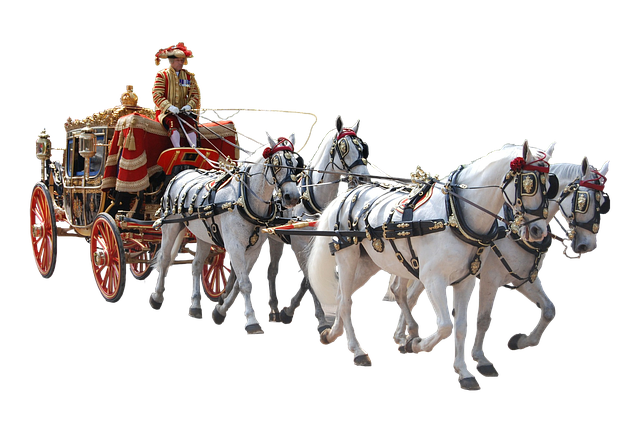 Costruire una casa? Considera una Carriage Hous