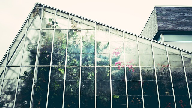 Conservatory Versus Orangery – Quale è più adatto per la tua casa?