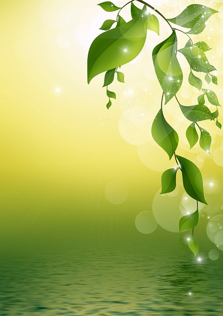 Progettare in modo semplice – Progettare in modo sano – Progettare reso unico