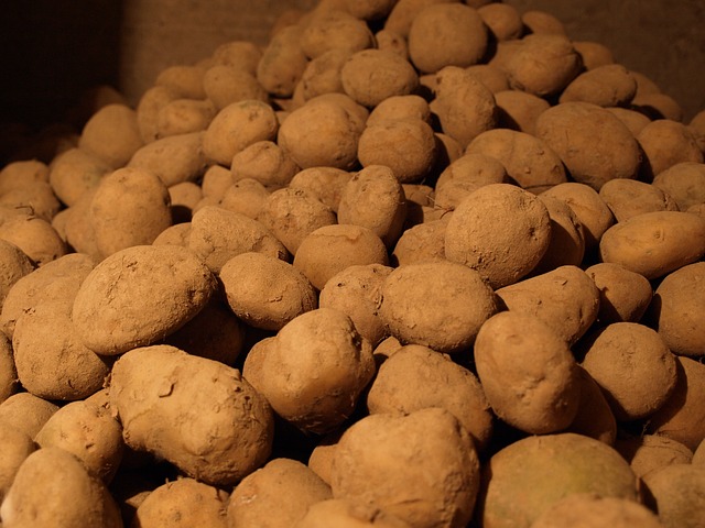 Costruire una cantina di root potrebbe farti risparmiare soldi