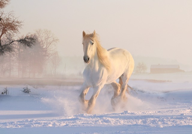 How to Create a Nighttime Winter Wonderland
